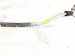 2022 Honda Odyssey Ac Pipe Line A/c Discharge Hose 3.5l Fwd 80315 THR A01 Replacement 2022 Honda Odyssey Ac Pipe Line A/c Discharge Hose 3.5l Fwd 80315 THR A01 Replacement thumbnail