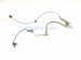 2018 Toyota Camry Front Passenger Abs Wheel Speed Sensor 2.5l 89542 33141 Replacement 2018 Toyota Camry Front Passenger Abs Wheel Speed Sensor 2.5l 89542 33141 Replacement thumbnail