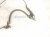 2018 Toyota Camry Front Passenger Abs Wheel Speed Sensor 2.5l 89542 33141 Replacement 2018 Toyota Camry Front Passenger Abs Wheel Speed Sensor 2.5l 89542 33141 Replacement thumbnail