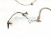 2018 Toyota Camry Front Passenger Abs Wheel Speed Sensor 2.5l 89542 33141 Replacement 2018 Toyota Camry Front Passenger Abs Wheel Speed Sensor 2.5l 89542 33141 Replacement thumbnail