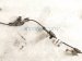 2018 Toyota Camry Rear Driver Abs Wheel Speed Sensor Harness 89516 47120 Replacement 2018 Toyota Camry Rear Driver Abs Wheel Speed Sensor Harness 89516 47120 Replacement thumbnail