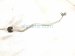 2018 Lexus Rx350 Ac Hose Pipe A/c Liquid Line Assy 3.5l Awd 88710 0E410 Replacement 2018 Lexus Rx350 Ac Hose Pipe A/c Liquid Line Assy 3.5l Awd 88710 0E410 Replacement thumbnail