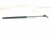 2018 Lexus Rx350 Passenger Hood Shock Strut 53440 0E070 Replacement 2018 Lexus Rx350 Passenger Hood Shock Strut 53440 0E070 Replacement thumbnail