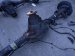 2018 Ford F150 Rear Differential W/ Axles Mi FL3Z 4010 E Replacement 2018 Ford F150 Rear Differential W/ Axles Mi FL3Z 4010 E Replacement thumbnail