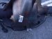 2018 Ford F150 Rear Differential W/ Axles Mi FL3Z 4010 E Replacement 2018 Ford F150 Rear Differential W/ Axles Mi FL3Z 4010 E Replacement thumbnail