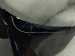 2024 Ford Mustang Front Driver Fender Black PR3Z 16006 A Replacement 2024 Ford Mustang Front Driver Fender Black PR3Z 16006 A Replacement thumbnail
