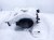2025 Mazda Cx 90 Air Center Blower Motor W/housing KMV6 61590 Replacement 2025 Mazda Cx 90 Air Center Blower Motor W/housing KMV6 61590 Replacement thumbnail