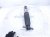 2022 Honda Odyssey Strut / Spring / Rear Driver Shock Absorber 52610 THR A120 Replacement 2022 Honda Odyssey Strut / Spring / Rear Driver Shock Absorber 52610 THR A120 Replacement thumbnail