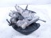 2022 Honda Odyssey Axle Stub Rear Passenger Spindle Knuckle Hub 52210 THR A01 Replacement 2022 Honda Odyssey Axle Stub Rear Passenger Spindle Knuckle Hub 52210 THR A01 Replacement thumbnail