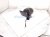 2022 Honda Odyssey Rear Driver Side View Mirror White 76250 THR A22ZJ Replacement 2022 Honda Odyssey Rear Driver Side View Mirror White 76250 THR A22ZJ Replacement thumbnail