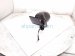 2022 Honda Odyssey Rear Driver Side View Mirror White 76250 THR A22ZJ Replacement 2022 Honda Odyssey Rear Driver Side View Mirror White 76250 THR A22ZJ Replacement thumbnail
