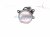 2022 Honda Odyssey Passenger Fog Lamp / Light 33900 TEY Y01 Replacement 2022 Honda Odyssey Passenger Fog Lamp / Light 33900 TEY Y01 Replacement thumbnail
