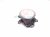 2022 Honda Odyssey Driver Fog Lamp / Light 33950 TEY Y01 Replacement 2022 Honda Odyssey Driver Fog Lamp / Light 33950 TEY Y01 Replacement thumbnail
