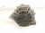 2019 Honda FIT Alternator / Generator 31100 5KK 004 Replacement 2019 Honda FIT Alternator / Generator 31100 5KK 004 Replacement thumbnail