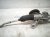 2019 Honda FIT And / Gear Box Power Steering Rack & Pinion 53400 T5R A02 Replacement 2019 Honda FIT And / Gear Box Power Steering Rack & Pinion 53400 T5R A02 Replacement thumbnail