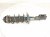 2019 Honda FIT Front Passenger Strut Absorber + Spring 51611 T5R A51 Replacement 2019 Honda FIT Front Passenger Strut Absorber + Spring 51611 T5R A51 Replacement thumbnail