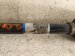 2019 Honda FIT Front Passenger Cv Axle Drive Shaft 44305 T5R A02 Replacement 2019 Honda FIT Front Passenger Cv Axle Drive Shaft 44305 T5R A02 Replacement thumbnail
