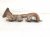 2002 Lexus Sc430 Driver Exhaust Manifold 4.3l 17105 50160 Replacement 2002 Lexus Sc430 Driver Exhaust Manifold 4.3l 17105 50160 Replacement thumbnail