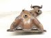 2024 Nissan Sentra Catalytic Exhaust Manifold W/conv 2.0l Fwd 140E2 6LY0A Replacement 2024 Nissan Sentra Catalytic Exhaust Manifold W/conv 2.0l Fwd 140E2 6LY0A Replacement thumbnail