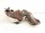 2024 Nissan Sentra Catalytic Exhaust Manifold W/conv 2.0l Fwd 140E2 6LY0A Replacement 2024 Nissan Sentra Catalytic Exhaust Manifold W/conv 2.0l Fwd 140E2 6LY0A Replacement thumbnail
