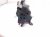 2024 Mazda Cx 50 Temperature Climate Heater/ac Control(on Dash) VA56 61190B Replacement 2024 Mazda Cx 50 Temperature Climate Heater/ac Control(on Dash) VA56 61190B Replacement thumbnail