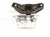 2023 Kia Telluride Engine/motor Front Driver Engine Mount 3.8l Awd 21830 S8400 Replacement 2023 Kia Telluride Engine/motor Front Driver Engine Mount 3.8l Awd 21830 S8400 Replacement thumbnail