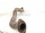 2018 Lexus Rx350 Front Exhaust Pipe 3.5l Awd 17410 0P540 Replacement 2018 Lexus Rx350 Front Exhaust Pipe 3.5l Awd 17410 0P540 Replacement thumbnail