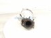 2022 Honda Odyssey Front Exhaust Manifold 18180 5MR A01 Replacement 2022 Honda Odyssey Front Exhaust Manifold 18180 5MR A01 Replacement thumbnail