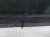 2018 Honda Odyssey Driver Quarter Window Glass 73561 THR A01 Replacement 2018 Honda Odyssey Driver Quarter Window Glass 73561 THR A01 Replacement thumbnail