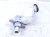 2022 Honda Odyssey Brake Master Cylinder W/reservoir 46101 THR A11 Replacement 2022 Honda Odyssey Brake Master Cylinder W/reservoir 46101 THR A11 Replacement thumbnail