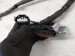 2025 Mazda Cx 90 Engine Room Harness W/fuse 2.5l Fwd KR9P 67 020A Replacement 2025 Mazda Cx 90 Engine Room Harness W/fuse 2.5l Fwd KR9P 67 020A Replacement thumbnail
