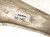 2023 Honda Accord Front Passenger Lower Control Arm 51360 30A A00 Replacement 2023 Honda Accord Front Passenger Lower Control Arm 51360 30A A00 Replacement thumbnail