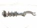 2012 Audi A6 Audi Front Passenger Strut Absorber + Spring 4G8 823 359 A Replacement 2012 Audi A6 Audi Front Passenger Strut Absorber + Spring 4G8 823 359 A Replacement thumbnail