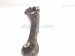 2012 Audi A6 Audi Front Driver Upper Forward Control Arm 8K0407152F Replacement 2012 Audi A6 Audi Front Driver Upper Forward Control Arm 8K0407152F Replacement thumbnail