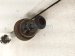 2012 Audi A6 Audi Rear Driver Cv Axle Drive Shaft 8R0 501 203 C Replacement 2012 Audi A6 Audi Rear Driver Cv Axle Drive Shaft 8R0 501 203 C Replacement thumbnail