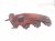 2012 Audi A6 Audi Passenger Exhaust Manifold 06E 253 032 AB Replacement 2012 Audi A6 Audi Passenger Exhaust Manifold 06E 253 032 AB Replacement thumbnail