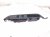 2022 Honda Odyssey Power / Master Window Control Switch Driver 35750 THR A22 Replacement 2022 Honda Odyssey Power / Master Window Control Switch Driver 35750 THR A22 Replacement thumbnail