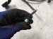 2024 Toyota Prius Rear Parking Aid Wire Harness Le 82183 47270 Replacement 2024 Toyota Prius Rear Parking Aid Wire Harness Le 82183 47270 Replacement thumbnail