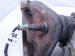 2025 Nissan Kicks Front Oxygen Sensor 2.0l 216500 7040 Replacement 2025 Nissan Kicks Front Oxygen Sensor 2.0l 216500 7040 Replacement thumbnail