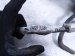 2025 Nissan Kicks Rear Differential 2.0l Awd 38760 7LA2A Replacement 2025 Nissan Kicks Rear Differential 2.0l Awd 38760 7LA2A Replacement thumbnail