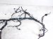 2024 Toyota Prius Dash Instrument Wire Harness Le 82141 4F542 Replacement 2024 Toyota Prius Dash Instrument Wire Harness Le 82141 4F542 Replacement thumbnail
