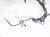 2024 Toyota Prius Dash Instrument Wire Harness Le 82141 4F542 Replacement 2024 Toyota Prius Dash Instrument Wire Harness Le 82141 4F542 Replacement thumbnail