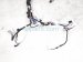 2024 Toyota Prius Dash Instrument Wire Harness Le 82141 4F542 Replacement 2024 Toyota Prius Dash Instrument Wire Harness Le 82141 4F542 Replacement thumbnail
