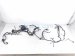 2025 Nissan Kicks Engine Room Harness W/fuse 2.0l Awd 7LG0A 24012 Replacement 2025 Nissan Kicks Engine Room Harness W/fuse 2.0l Awd 7LG0A 24012 Replacement thumbnail