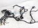 2025 Nissan Kicks Engine Room Harness W/fuse 2.0l Awd 7LG0A 24012 Replacement 2025 Nissan Kicks Engine Room Harness W/fuse 2.0l Awd 7LG0A 24012 Replacement thumbnail
