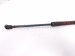 2019 Honda Civic Rear Passenger Tailgate Shock / Lift Cyl 74820 TGG 305 Replacement 2019 Honda Civic Rear Passenger Tailgate Shock / Lift Cyl 74820 TGG 305 Replacement thumbnail