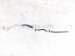 2024 Ford Mustang Ac Hose A/c Condenser Pipe Line 2.3t PR3B 19N651 AA Replacement 2024 Ford Mustang Ac Hose A/c Condenser Pipe Line 2.3t PR3B 19N651 AA Replacement thumbnail