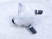 2024 Toyota Prius Inverter Coolant Reservoir Tank G910G 76030 Replacement 2024 Toyota Prius Inverter Coolant Reservoir Tank G910G 76030 Replacement thumbnail