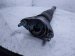 2024 Mercedes Eqb300 Strut / Spring / Rear Passenger Shock Absorber 243 320 77 00 Replacement 2024 Mercedes Eqb300 Strut / Spring / Rear Passenger Shock Absorber 243 320 77 00 Replacement thumbnail