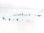 2024 Mercedes Eqb300 Passenger Roof Curtain Airbag 243 860 41 00 Replacement 2024 Mercedes Eqb300 Passenger Roof Curtain Airbag 243 860 41 00 Replacement thumbnail